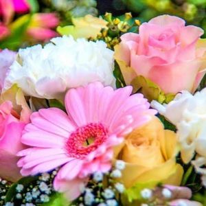 Meet your Posher, Erica